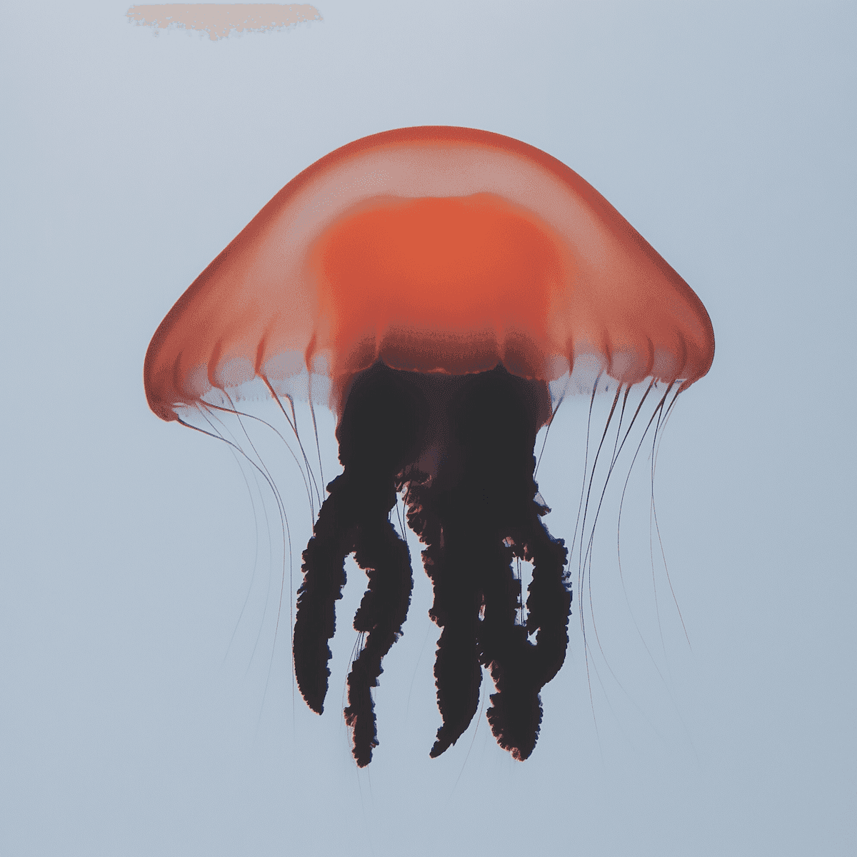 Storytelling Design Turns Visitors Into Fans